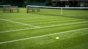 Apuestas de tenis en hierba: pista de césped con líneas blancas y red bajo luz natural